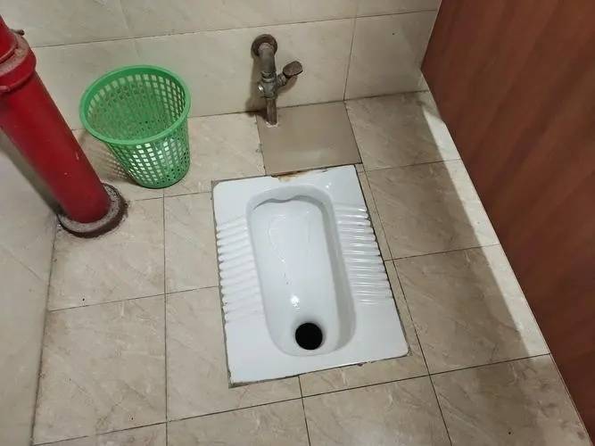 马桶改蹲_蹲马桶改坐马桶_蹲马桶改为坐马桶麻不麻烦